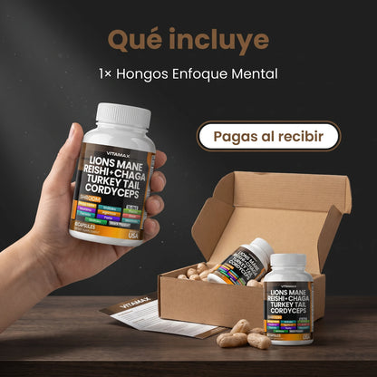 Hongos Enfoque Mental
